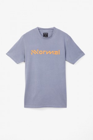 NNormal Organic cotton t-shirt Sininen | CEDJIFM-93